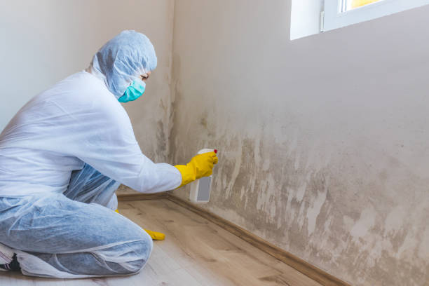 Hvac And Air Duct Mold Remediation inspection of HVAC system in Winchester
